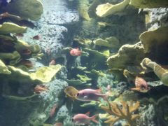 -福州罗源湾海洋世界旅游区