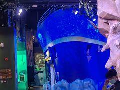 -珠海横琴国家地理探险家中心(创新方)