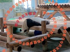 -西安秦岭野生动物园