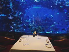 -迪拜帆船酒店海底餐厅