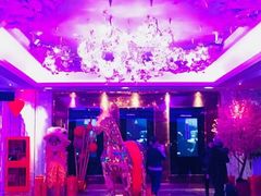 -纯K(打浦桥店)