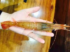 -千代武日本料理(爱建店)