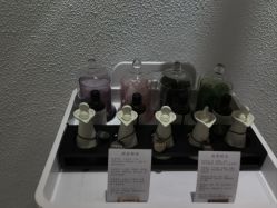 -薇薇安花系SPA