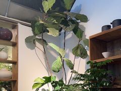-自由生长植物工作室(深港花卉中心店)