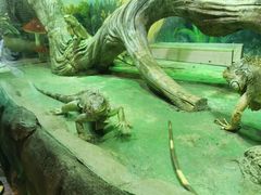 -华夏文旅海洋公园