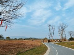 -良渚文化村