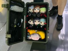 -animate(北京店)