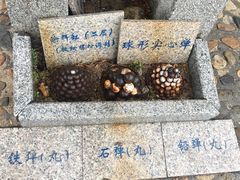 -胡里山炮台