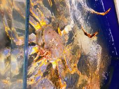 -海景壹号大酒店(滨湖店)