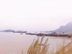 -小桂湾