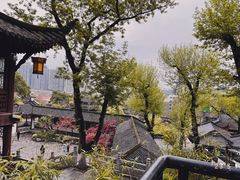-黄鹤楼公园(黄鹤楼)