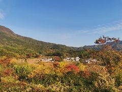 -塔川景区