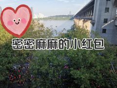-武汉长江大桥