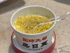 -阳坊大都涮羊肉(阳坊总店)