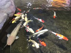 -鸿通城购物中心