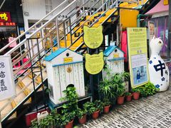 -猫咪博物馆(顶澳仔猫街店)