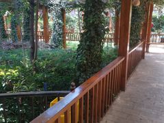 -山大王菌莊