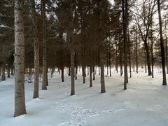 -长春市南湖公园