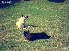 -鹅銮鼻公园