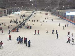 -绍兴启迪乔波冰雪世界