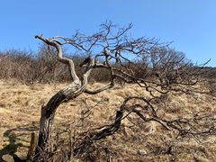 -秦岭风景区