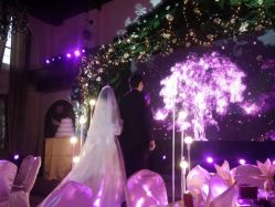 点击看大图 -伊莎贝拉婚礼庄园(顾村店)
