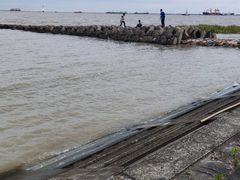 -上海滨江森林公园
