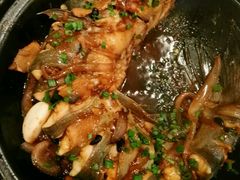 -金龙寨(解西店)