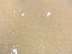 -陇上秦轩西安biangbiang面(EFC欧美金融商业城店)