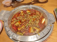 -成老灶火锅鸡(平山店)