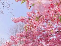 -白沙门生态公园