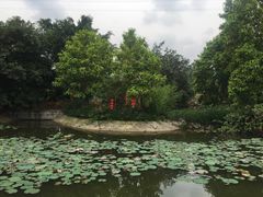 景观位-一品烧农庄·佛山本地菜(西岸店)