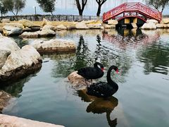 -西昌邛海宾馆