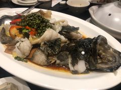 青花椒蒸龙胆鱼-闽和南(深圳万象城店)