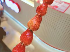 -壹海城ONE MALL
