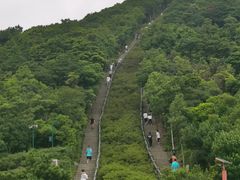 -梧桐山风景名胜区