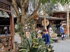 -青城甲(青城山店)