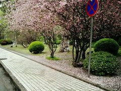 -同济大学-北苑食堂