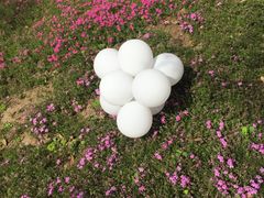 -南通洲际绿博园