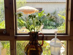 -Jo's Garden