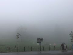 -武陵山森林公园