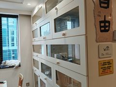 -楼上猫咖(罗湖店)
