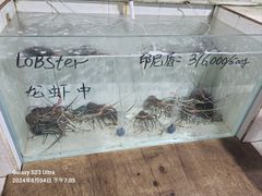-海盗餐厅