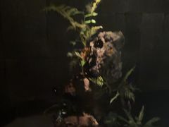 -泰之源足浴会所(玉环店)