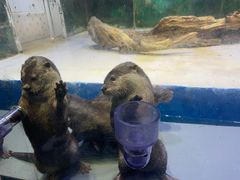 -华夏文旅海洋公园