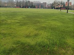 -自黑豆夫·臭豆腐夹馍(四海唐人街店)