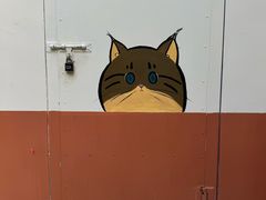 -青藏高原野生动物园