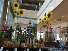 -视界美食自助餐厅·石家庄希尔顿酒店