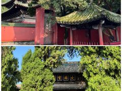 -报恩寺(平武县)