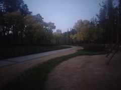 -白鹭湾湿地公园